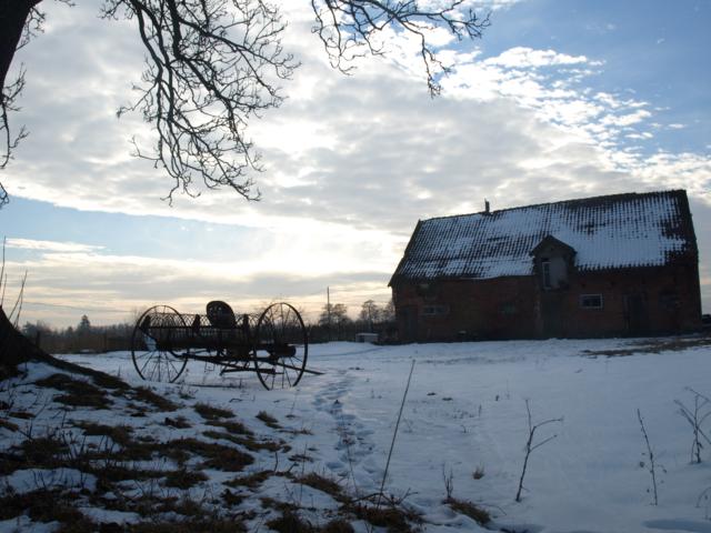 biegun lokalny (Styczeń 2009)