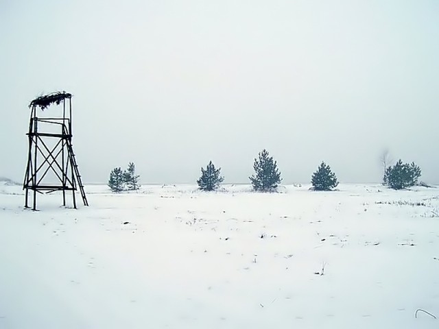 Gdzieś pod Braniewem.

Fota zrobiona w czasie mgły, po południu 18 stycznia. (Styczeń 2009)