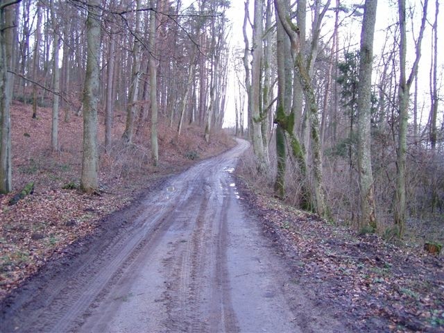 Do Elbląga (Luty 2009)