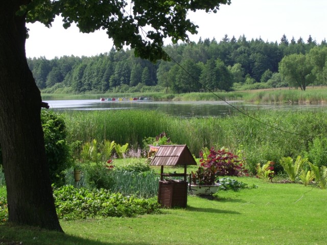 trochę lata zimą:) (Luty 2009)