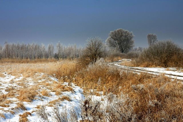 Elbląg- Nowe Pole ( specjalnie podaję nazwę tej miejscowości ponieważ jest blisko Elbląga a większość nie wie gdzie to jest) (Luty 2009)