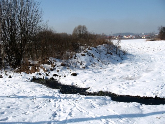 Widok na domki na ul.Rawskiej