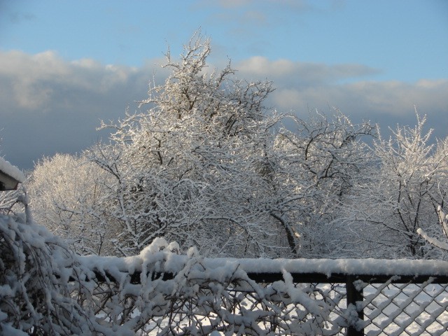 piękna zima tego roku (Luty 2009)
