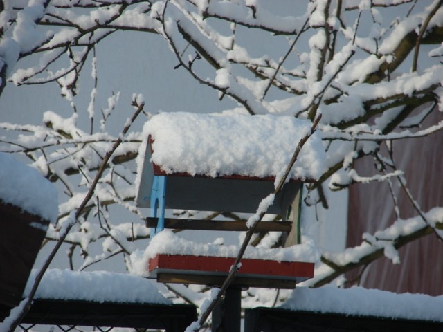 ale zima (Luty 2009)