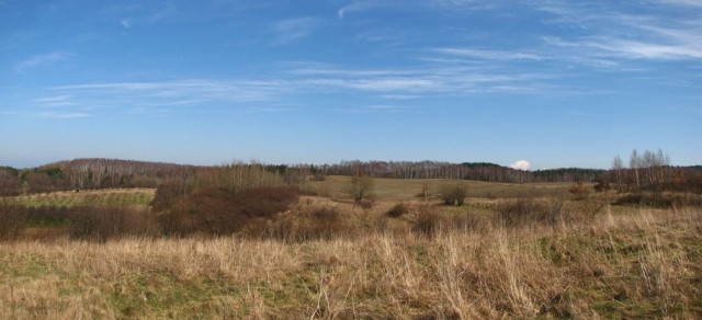 W powietrzu czuć już wiosnę... (Marzec 2009)