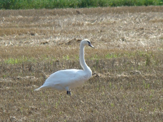 Gdzie ta woda? (Marzec 2009)