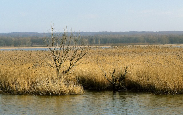 Zalew Wiślany, Mierzeja Wiślana - Żuławy Wiślane