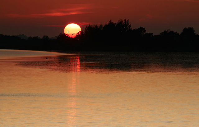 Nogat w słonecznym blasku (Marzec 2009)