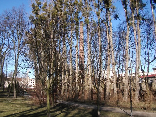 komin (Marzec 2009)