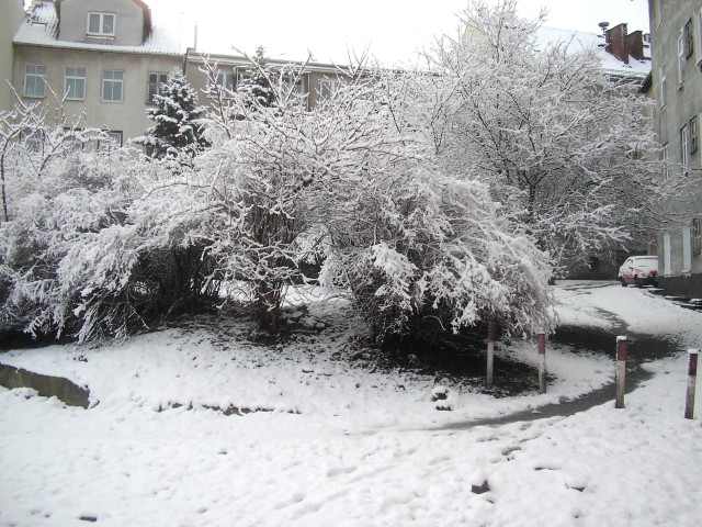 12 marzec 2009 (Marzec 2009)