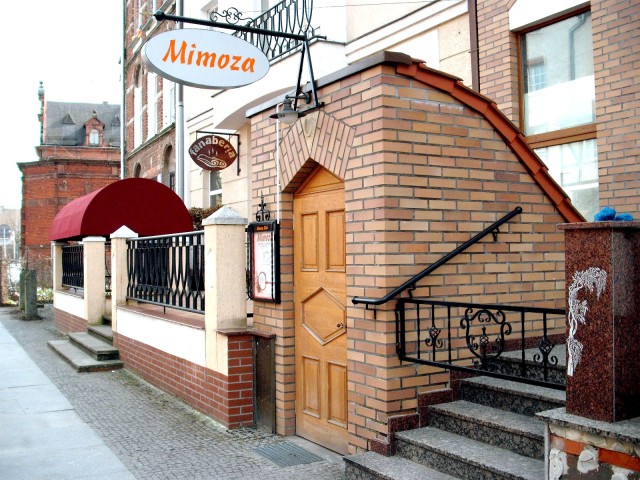 Mimoza (Kwiecień 2009)