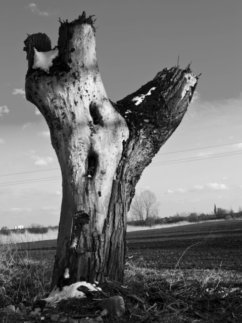 Drogowskaz. 
Wprawne oko dostrzeże elbląski motyw :)