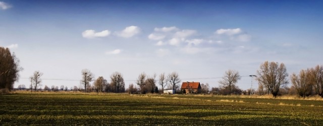 W pobliżu Elbląga. Początki wiosny.
(raczej do oglądania tylko na powiększonym, przy tej rozdzieloczości niestety ogromne straty) (Kwiecień 2009)