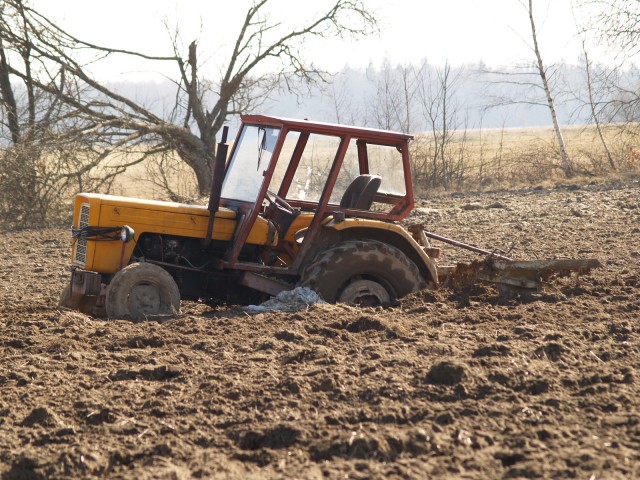 za wcześnie.............. (Kwiecień 2009)