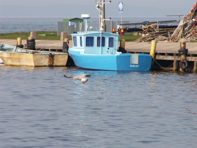 PORT W TOLKMICKU