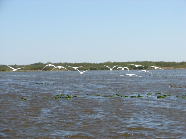 Wiosna na Drużnie (Maj 2009)