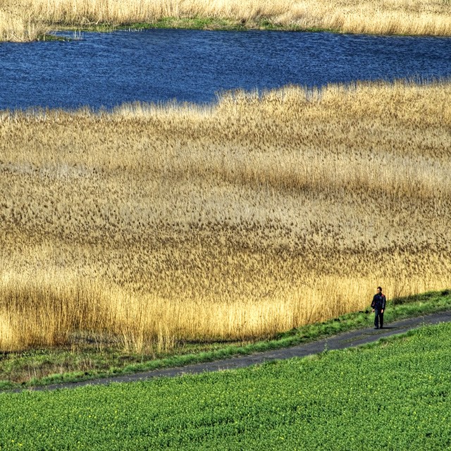 Spacer nad Nogatem (Maj 2009)