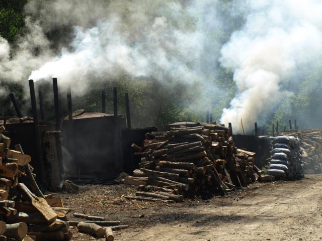 Wypalanie węgla drzewnego (Sierpień 2009)