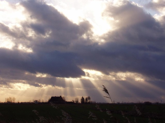 Nadzieja.. (Sierpień 2009)