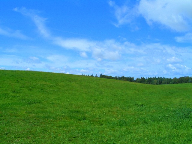 Polana, Kadyny