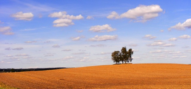 warmińsko-mazurska trójca (Sierpień 2009)