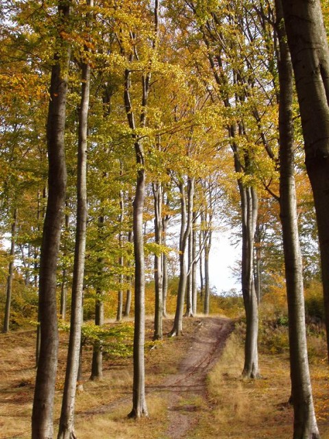 Jesień.. (Październik 2009)