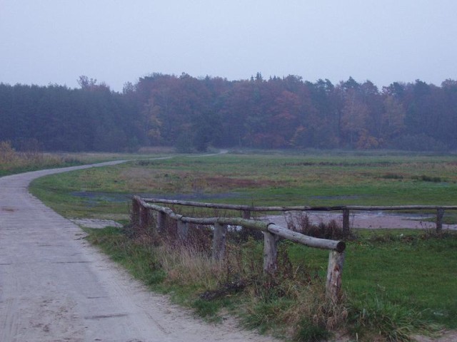 Mgliście.. (Październik 2009)