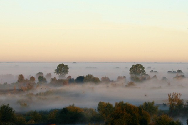 Ocean mgły - okolice rzeki elbląg (Październik 2009)