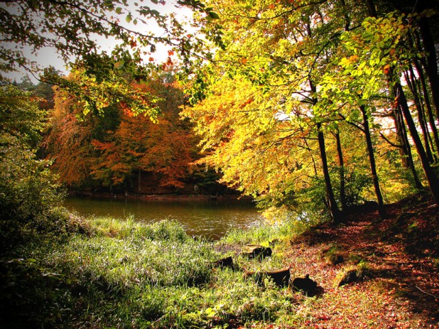 Jesienna cisza i spokój (Październik 2009)