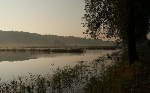 Nowe akweny. Po powodzi, przy drodze Elbląg-Suchacz. (Październik 2009)