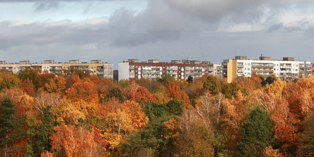 Barwy jesieni w mieście - okolice parku modrzewie.