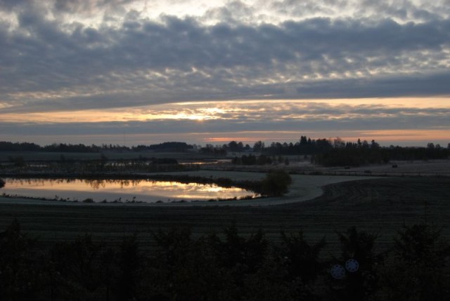 Milejewskie stawy nad ranem