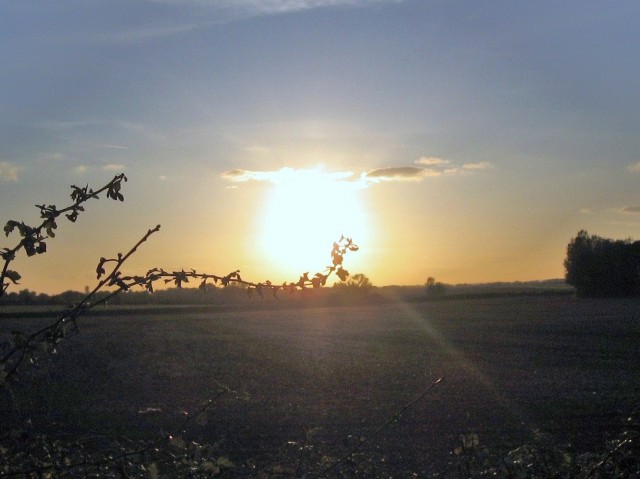 słońce listopada (Listopad 2009)
