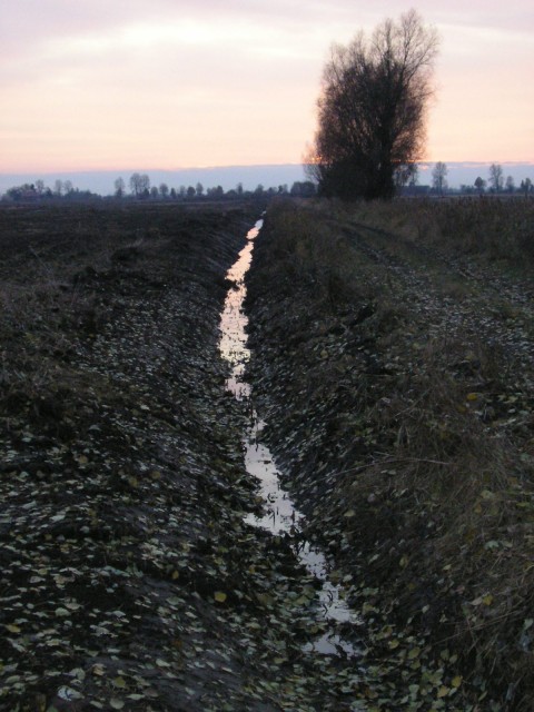 ach Żuławy, smętne i płaskie...