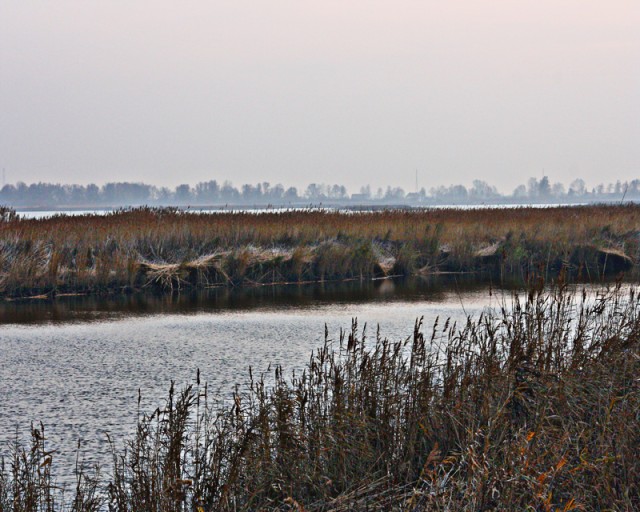 Widok na Wysoczyznę Elbląską (Listopad 2009)