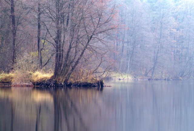 Cisza poranka (Grudzień 2009)