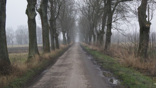 Droga między Jegłownikiem, a Nogatowem (Grudzień 2009)