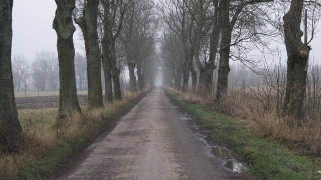 Droga między Jegłownikiem, a Nogatowem