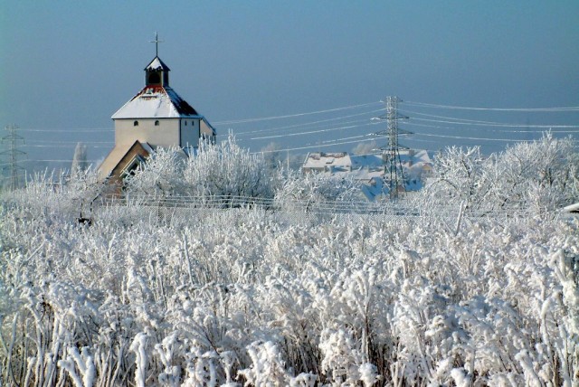 Biały w bieli