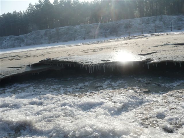 promiennie na plaży ... (Styczeń 2010)