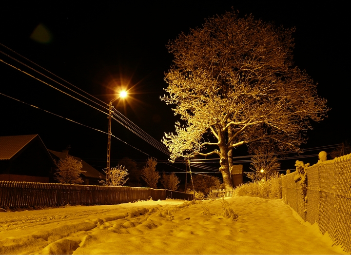Zima na wsi.... (Styczeń 2010)