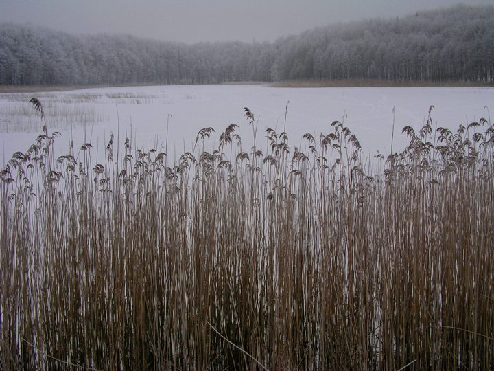 Jezioro Stare