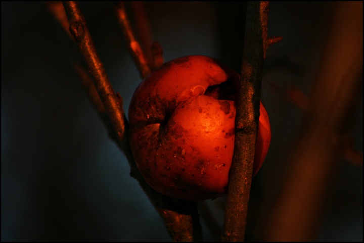 Zaklinowane (Styczeń 2010)