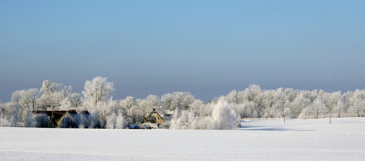 Zimowy pejzaż (okolice Młynar) (Styczeń 2010)