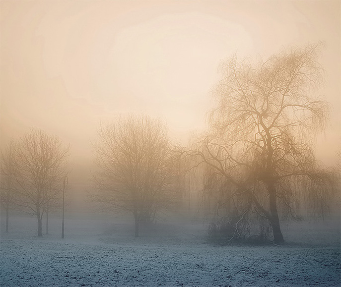 Zima na kolorowo. Park przy Miejskim Kąpielisku. (Styczeń 2010)