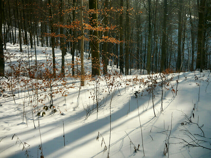 Góry i doliny między Łęczem a Suchaczem. (Luty 2010)