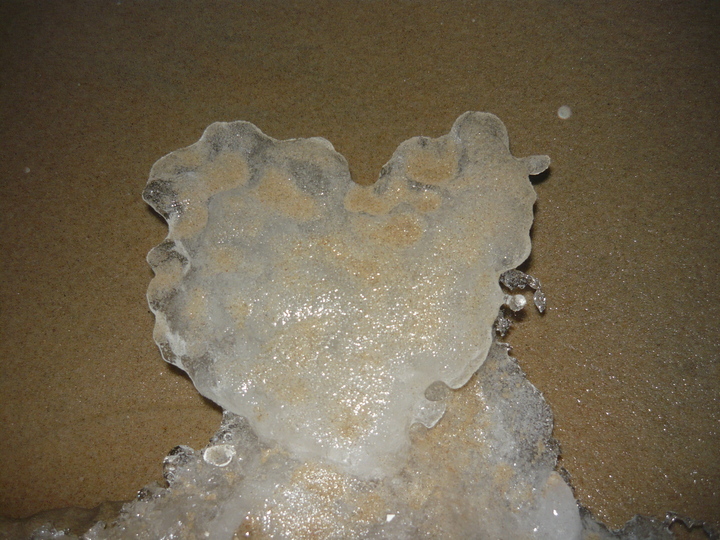 WALENTYNKI 2010. Bałtyk dotykiem fal wyrzeźbił to serduszko w lodzie. (Luty 2010)