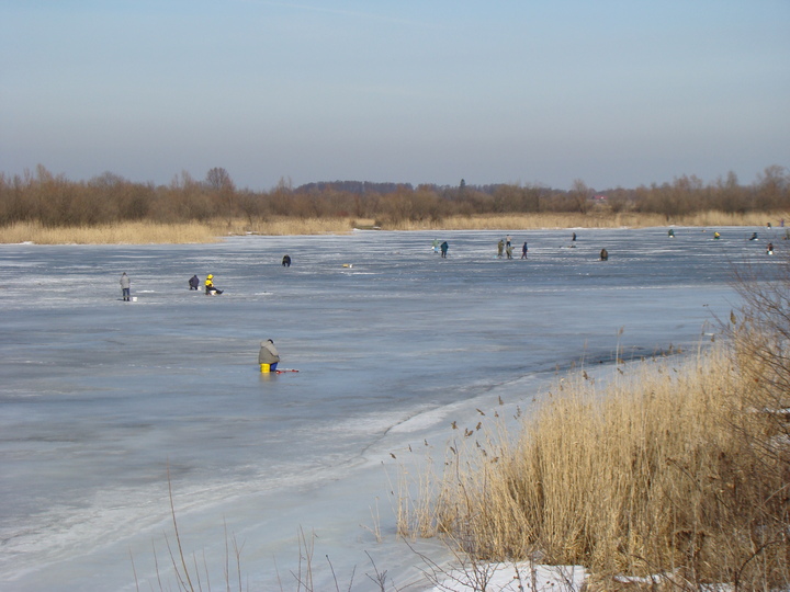 Hobby dla wytrwałych. (Marzec 2010)