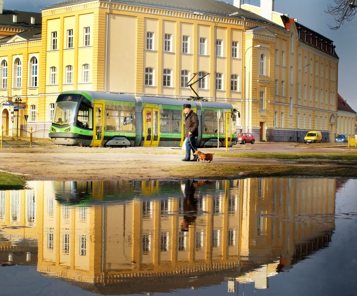 W marcowym słońcu ...