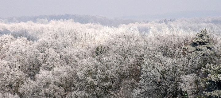 ostatnie oznaki zimy - Elbląg (Marzec 2010)